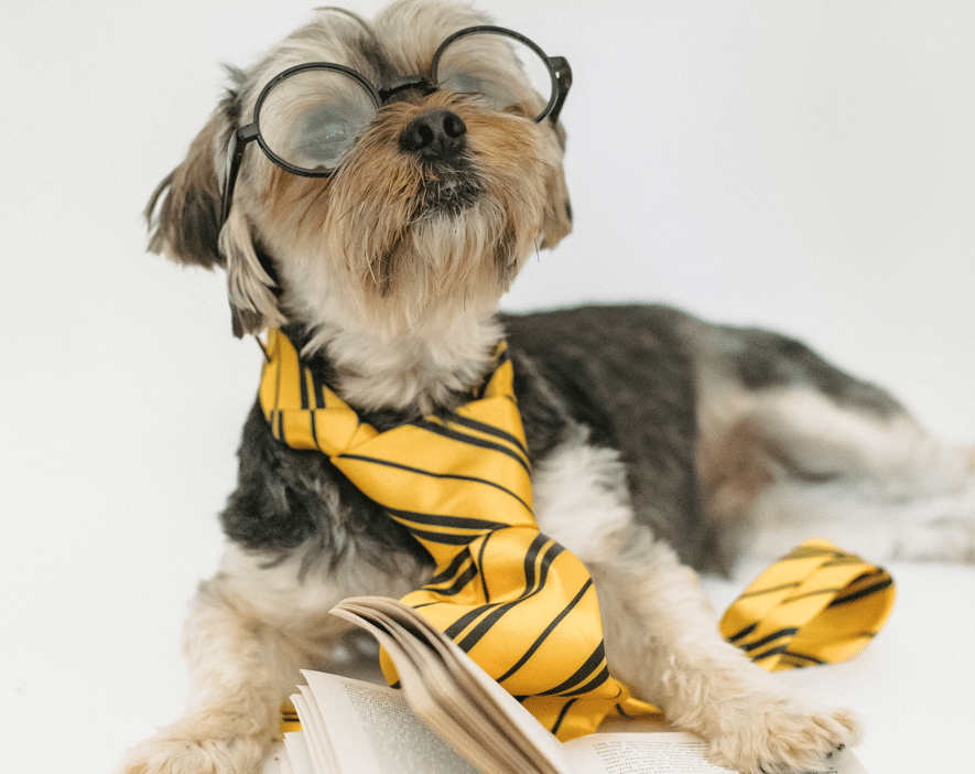 Teaching an Old Dog New Tricks: A Post-Op Implementation Analysis