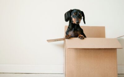 Student Success: It’s Time to Think Outside the Box!