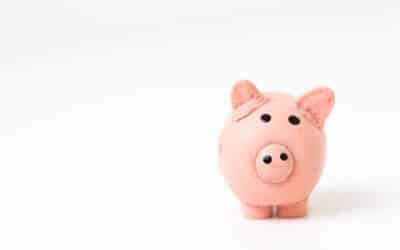 IPEDS Surveys: What Does the Process Cost?